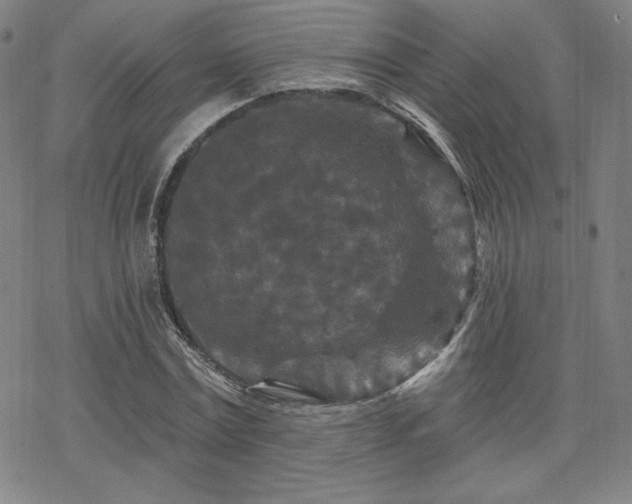 X0000070180779200606021031