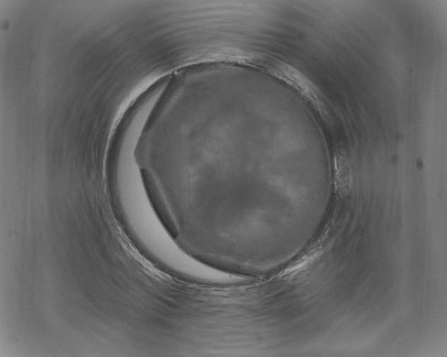 X0000070180780200606021031