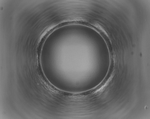 X0000070180781200606021031