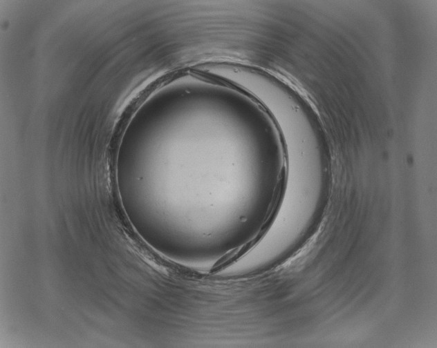 X0000070180782200606021031