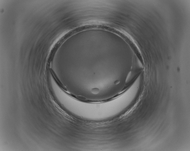 X0000070180783200606021031