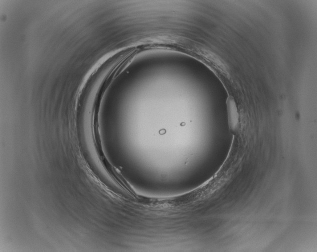 X0000070180784200606021031