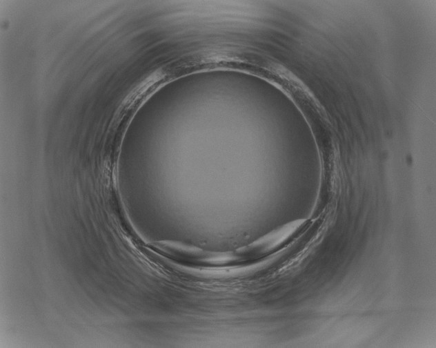 X0000070180785200606021031