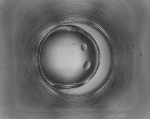 X0000070180786200606021031