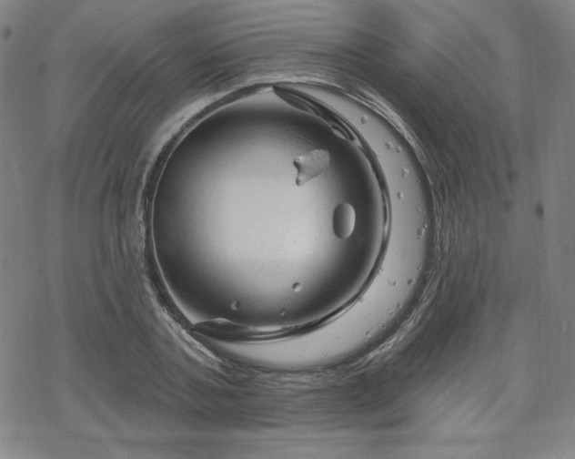 X0000070180787200606021031