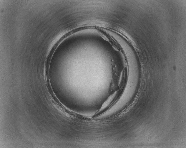 X0000070180788200606021031