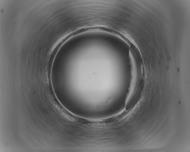 X0000070180789200606021031