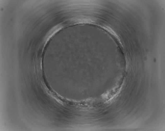 X0000070180790200606021031