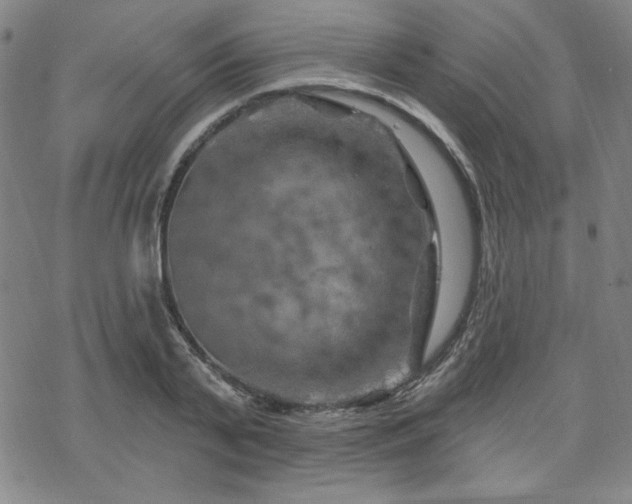 X0000070180791200606021031