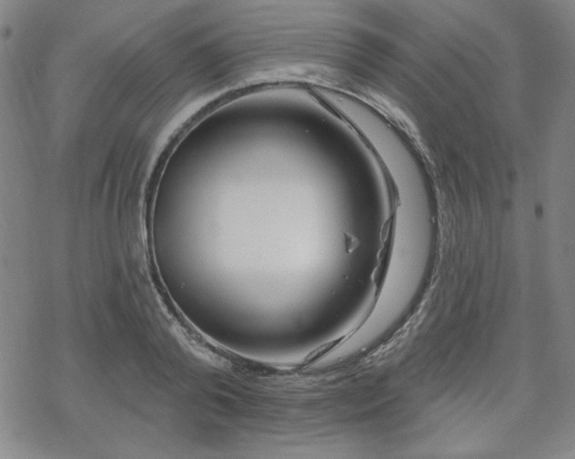 X0000070180792200606021031