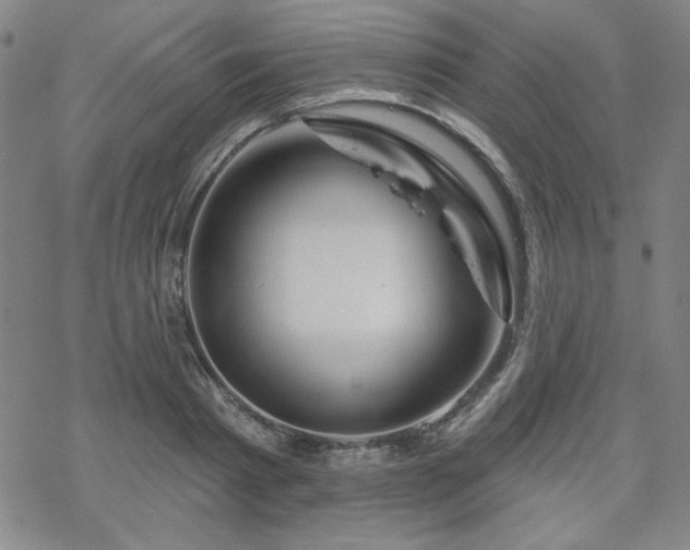 X0000070180793200606021031