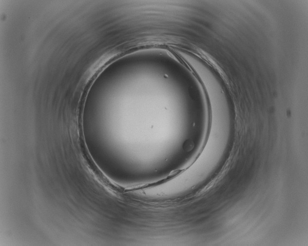 X0000070180794200606021031