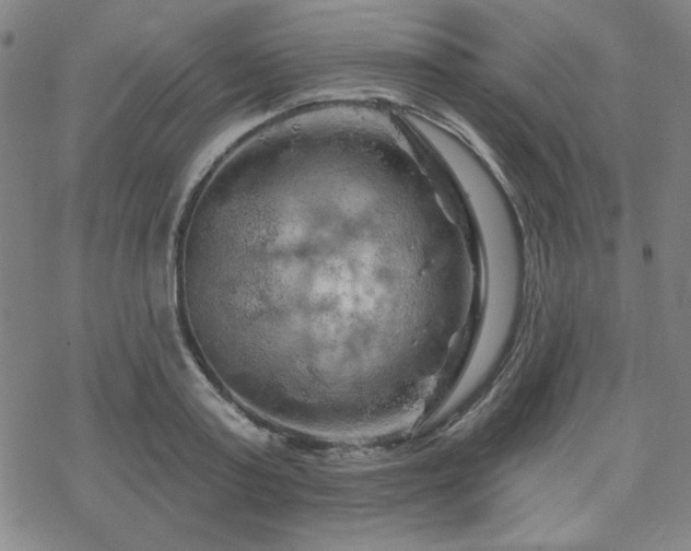 X0000070180795200606021031