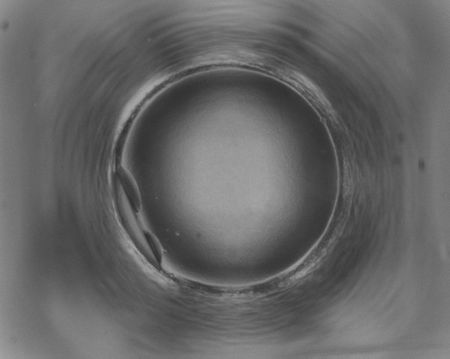 X0000070180796200606021031