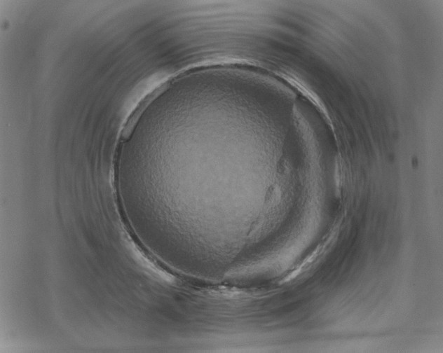 X0000070180797200606021031