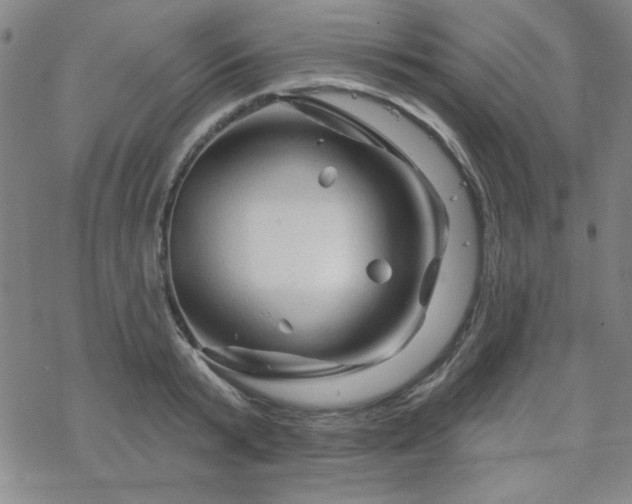 X0000070180799200606021031