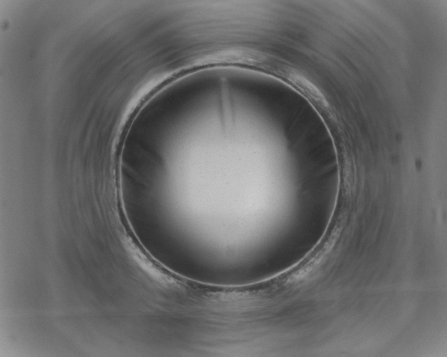 X0000070180800200606021031