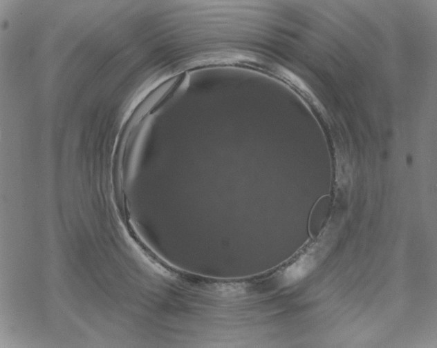 X0000070180802200606021031