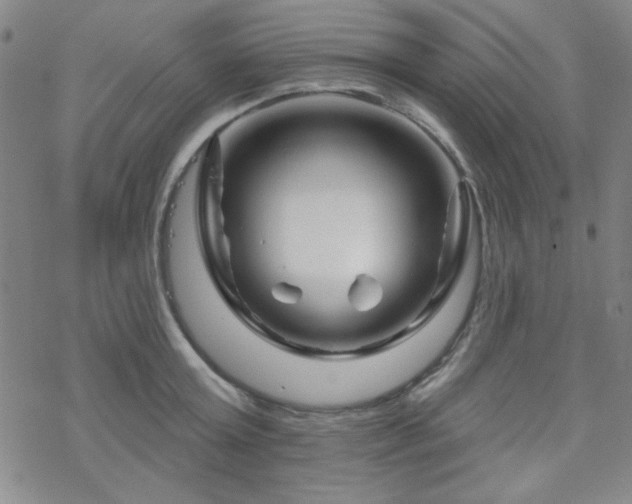 X0000070180803200606021031