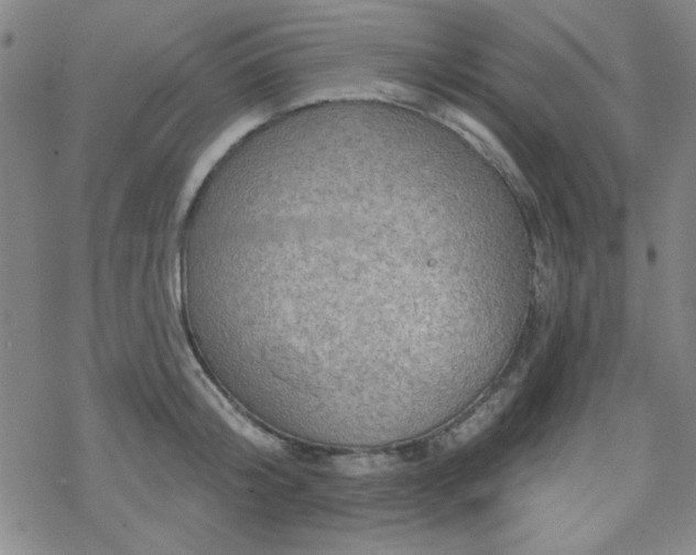 X0000070180804200606021031