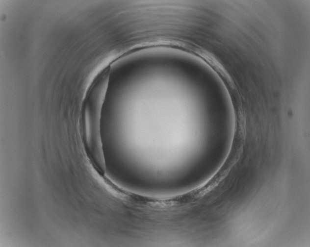 X0000070180805200606021031