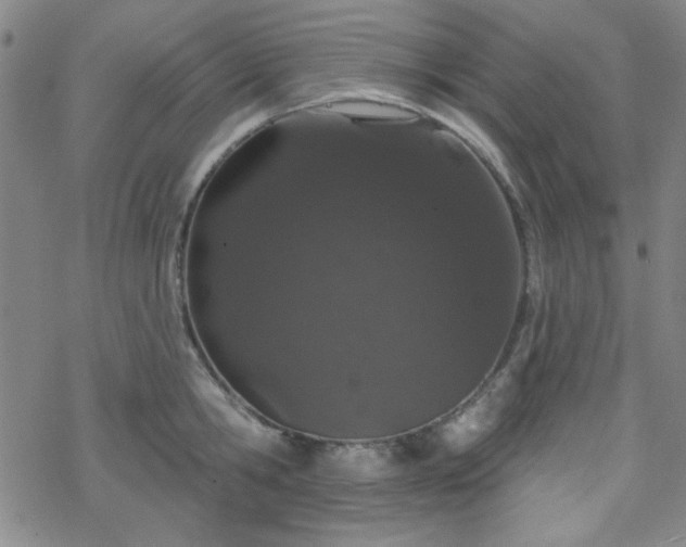 X0000070180806200606021031