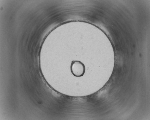 X0000070180807200606021031