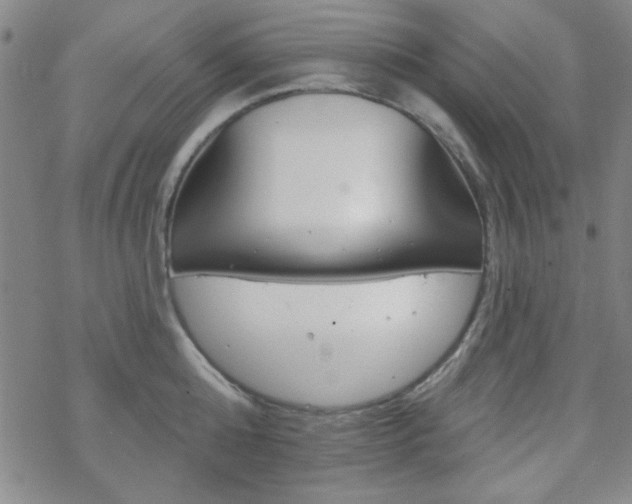 X0000070180808200606021031