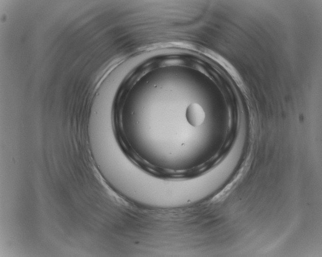 X0000070180809200606021031