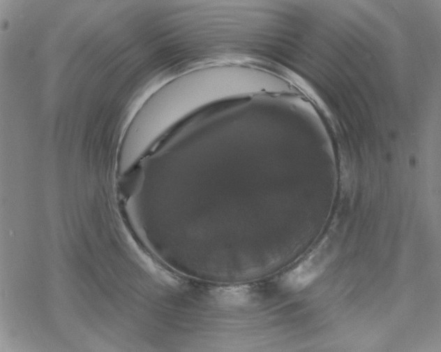 X0000070180810200606021031