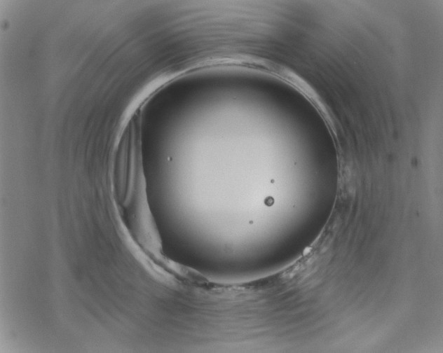 X0000070180811200606021031