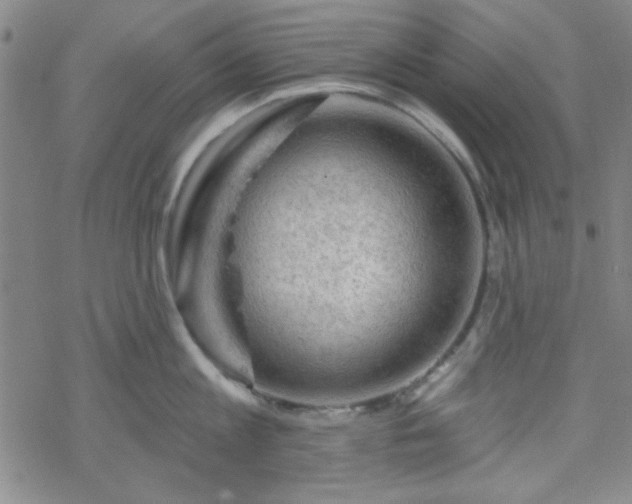 X0000070180813200606021031