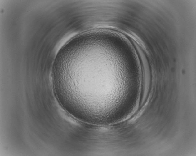 X0000070180814200606021031