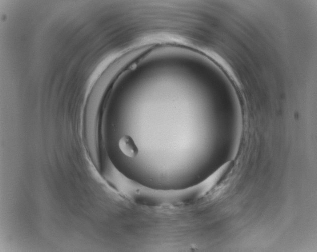 X0000070180815200606021031