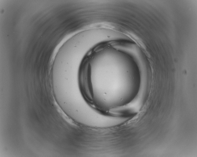 X0000070180816200606021031