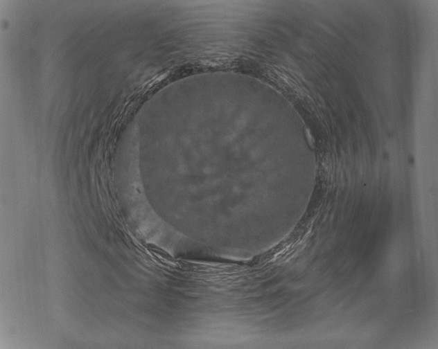 X0000070180817200606021030