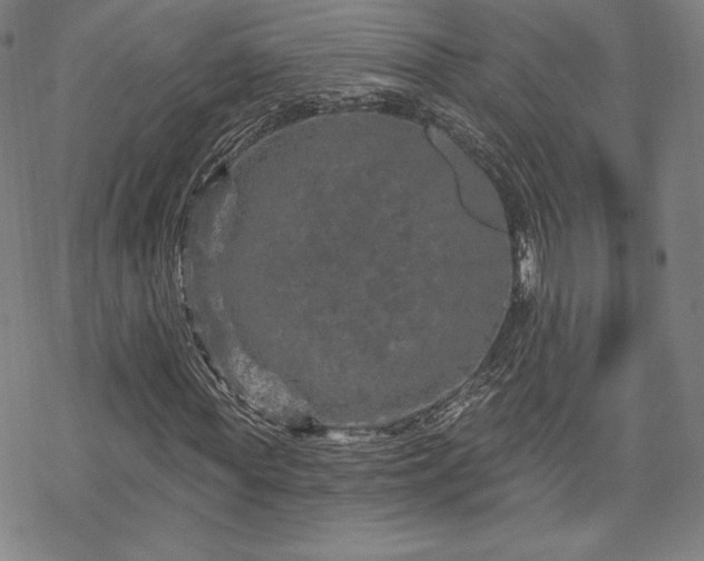 X0000070180819200606021030