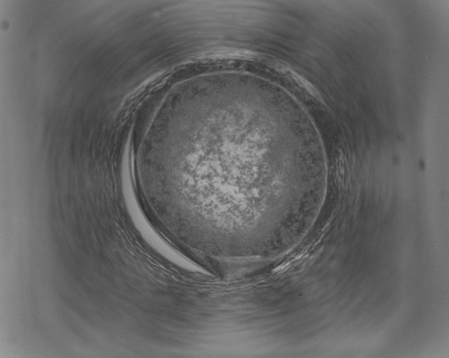 X0000070180821200606021030