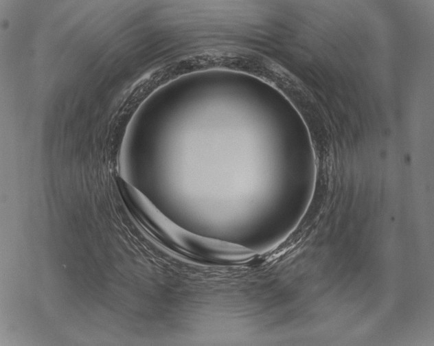 X0000070180822200606021030