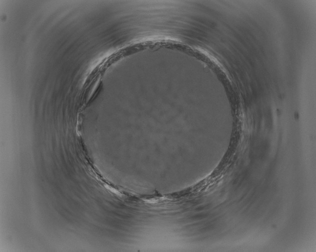 X0000070180823200606021030