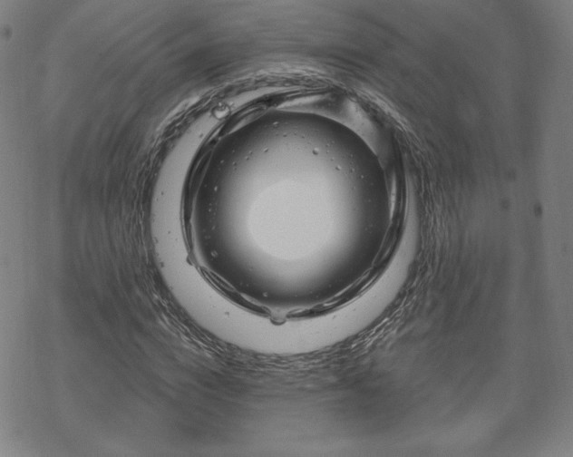 X0000070180824200606021030