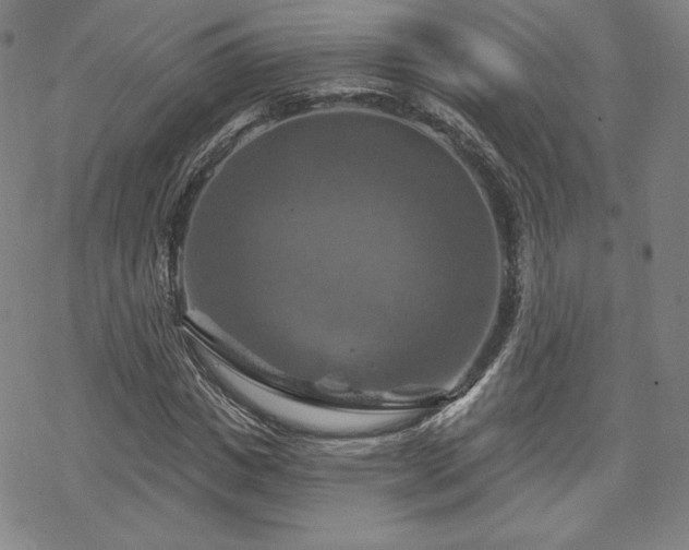 X0000070180825200606021030