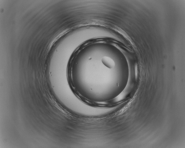 X0000070180826200606021030