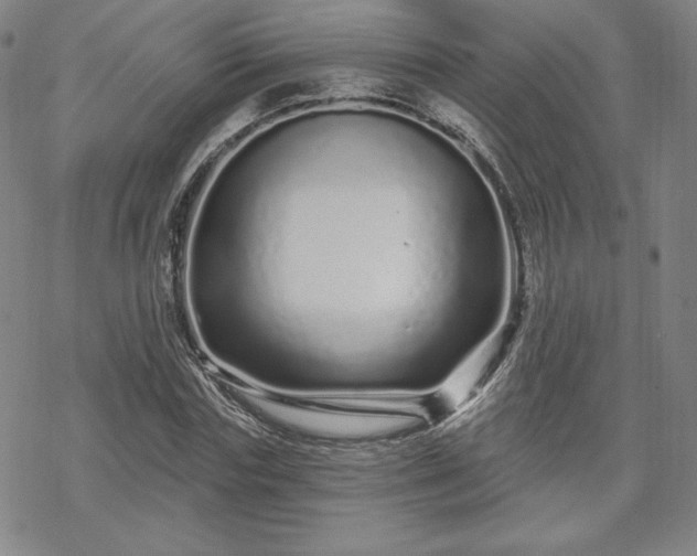 X0000070180827200606021030