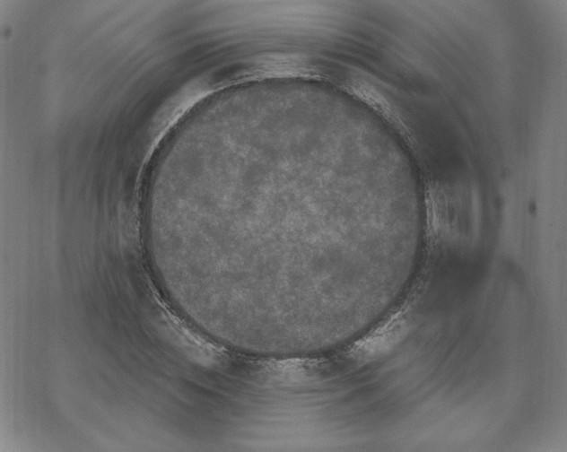 X0000070180828200606021030