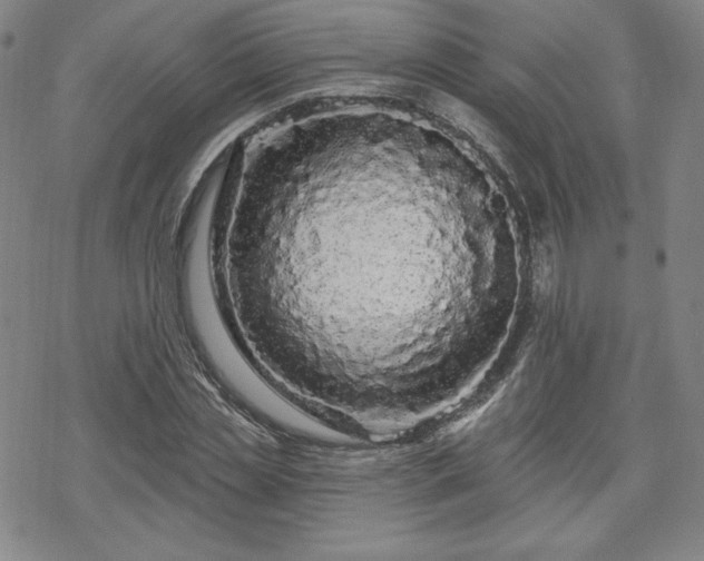 X0000070180829200606021030