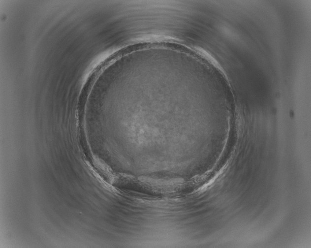 X0000070180831200606021030