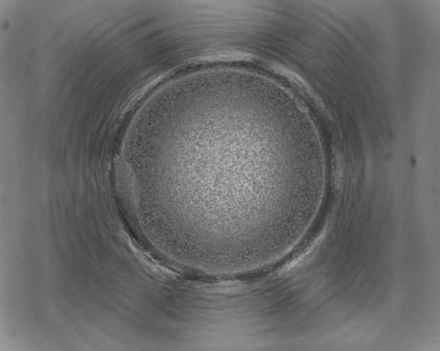 X0000070180833200606021030