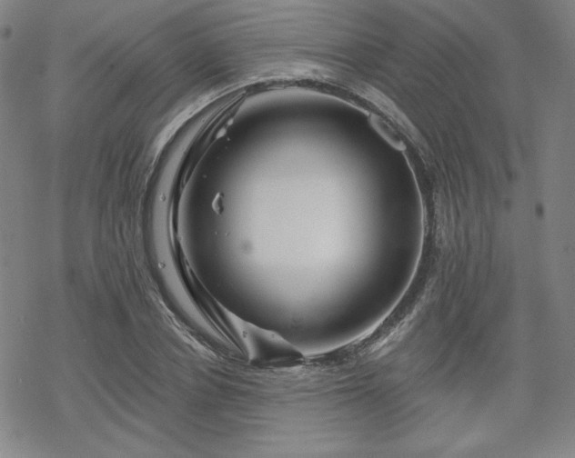 X0000070180834200606021030