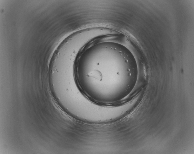 X0000070180836200606021030